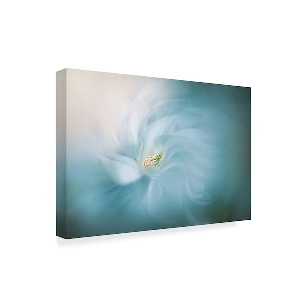 Jacky Parker 'Floral Ballet' Canvas Art,22x32